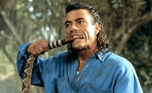 JCVD biting a snake, from Hard Target