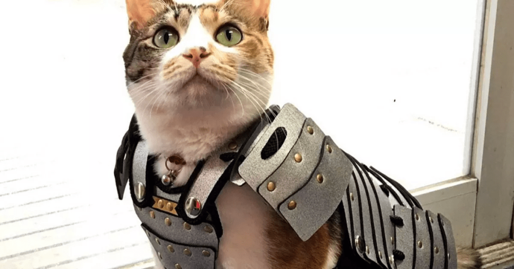 a cat in Samurai armour